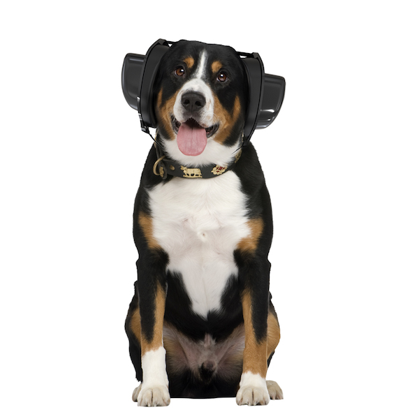 Dog earmuff from BOLLSEN Hearing Protection